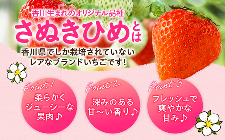 【2026年発送分 先行受付】苺音エコノミープラス　～『さぬきひめ』ずくめな1週間が楽しめる盛りだくさんセット～　約1,800g | スイーツ いちご イチゴ ストロベリー さぬきひめ さぬき姫 苺 冷蔵 1kg以上 フルーツ 旬 果物 香川県 デザート 青果物 おすすめ |_mk137-006