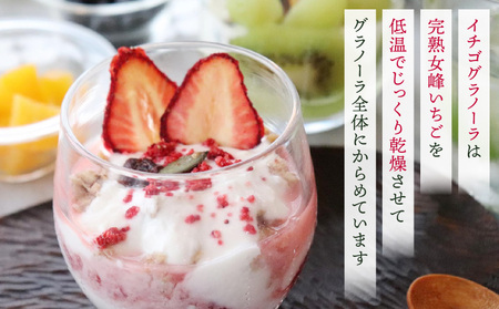 女峰いちごを贅沢に使ったグラノーラ＆ジャム ≪IDOMALL セレクト≫|スイーツ いちご ストロベリー 女峰 苺 ジャム いちごジャム フルーツ 旬 果物 香川県 デザート 青果物 贈答 プレゼント 贈り物 おすすめ|_mk048-009