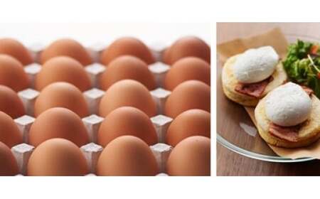 danranバラエティたまごセット　M4|卵 新鮮卵 オリーブEgg さくらたまご 平飼いたまご 白たまご 醤油 たまごかけ醤油 食べ比べ セット|_mk095-001