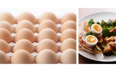 danranバラエティたまごセット　M4|卵 新鮮卵 オリーブEgg さくらたまご 平飼いたまご 白たまご 醤油 たまごかけ醤油 食べ比べ セット|_mk095-001