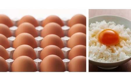 danranバラエティたまごセット　M4|卵 新鮮卵 オリーブEgg さくらたまご 平飼いたまご 白たまご 醤油 たまごかけ醤油 食べ比べ セット|_mk095-001