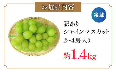 訳ありシャインマスカット　　約1.4㎏入り　2～4房_mk059-002