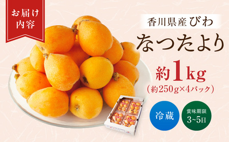 初夏を感じる果物 香川県産びわ（なつたより） 約1.0kg【香川県共通返礼品】|びわ 枇杷 なつたより 果物 フルーツ 人気 香川 香川県 三木町 初夏 ハウス栽培 厳選 袋掛け 完熟 ジューシー 糖度が高い 先行受付 先行予約 季節限定 旬 おすすめ|_mk006-021