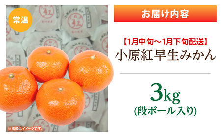 小原紅早生みかん 3kg【香川県共通返礼品】|みかん フルーツ 果物 果実 小原紅早生 デザート 贈答 贈り物 柑橘 柑橘系 グルメ 人気 おすすめ 旬 旬のみかん 季節 季節のみかん 柑橘果物 果汁 香川県 三木町 送料無料|_mk025-001