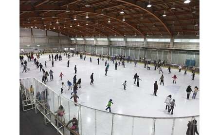 スポーツ施設無料券（グループ）|スポーツ施設 リゾート施設 レジャープール無料入園券 ウォータースライダー スケート テニスコート アイスアリーナ グループ 香川県 三木町|_mk013-003