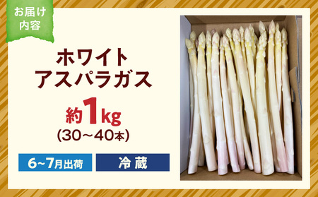 ホワイトアスパラガス約1kg（6～7月出荷）|アスパラ アスパラガス ホワイトアスパラガス 新鮮 素材の味 夏野菜 直送 香川県 三木町|_mk002-003