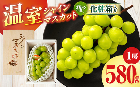 温室シャインマスカット　1房化粧箱入り(580g以上) | マスカット ハウス ぶどう ブドウ 葡萄 果物 フルーツ 人気 香川 香川県 三木町 種なし 皮ごと食べられる ジューシー 化粧箱 旬 おすすめ |_mk006-033