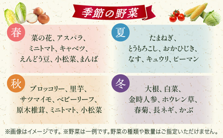 プチマルシェお野菜ボックス(Ｍ)　季節の野菜８～９種類　≪IDOMALL　セレクト≫|野菜 新鮮 冷蔵 旬 香川県 野菜ボックス 季節の野菜 青果物 季節 マルシェ 冷蔵 おすすめ|_mk048-004