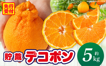 貯蔵デコポン約5kg(12～24玉)【香川県共通返礼品】 | デコポン 甘い 酸味 柑橘 柑橘系 オレンジ 果物 フルーツ 青果 デザート おすすめ 取り寄せ 香川県 三木町 |_mk006-043 7,020円