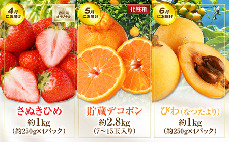 さぬき旬のフルーツ大満足　12回定期便|定期便 キウイ いちご 女峰 みかん 不知火 さぬきひめ デコポン びわ なつたより ぶどう ピオーネ シャインマスカット 大房 さぬきゴールド 小原紅早生 化粧箱 香緑 香川 毎月配送|_mk006-t009d