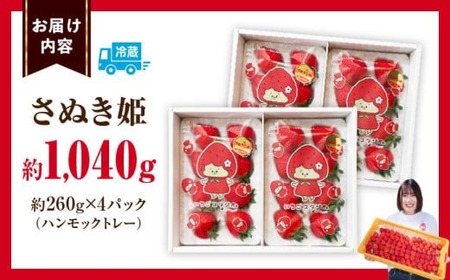 超高級大粒いちご　極甘さぬき姫260g×4パック(ハンモックトレー) | いちご 大粒 高級 さぬき姫 果物 フルーツ おすすめ 旬 イチゴ 季節 旬の果物 ギフト パック 果実 贈り物 デザート 人気 果肉 生鮮食品 国産 冷蔵 香川県 三木町 |_mk165-003