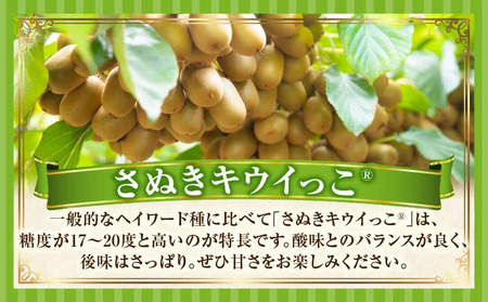 キウイフルーツ(さぬきキウイっこR)　1.8kg | キウイ フルーツ 果物 旬 旬の果物 キウイフルーツ デザート 生鮮食品 贈り物 贈答 お裾分け おすすめ 人気 ギフト グルメ 特産品 果肉 季節 季節の果物 香川県 三木町 |_mk165-008