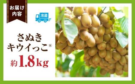 キウイフルーツ(さぬきキウイっこR)　1.8kg | キウイ フルーツ 果物 旬 旬の果物 キウイフルーツ デザート 生鮮食品 贈り物 贈答 お裾分け おすすめ 人気 ギフト グルメ 特産品 果肉 季節 季節の果物 香川県 三木町 |_mk165-008