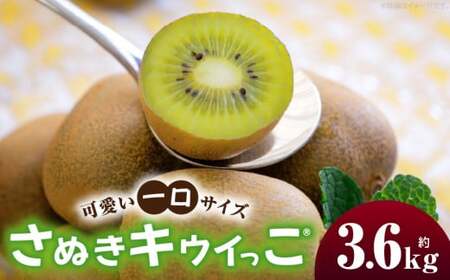 キウイフルーツ(さぬきキウイっこR)　1.8kg×2箱 | キウイ フルーツ 果物 旬 旬の果物 キウイフルーツ デザート 生鮮食品 贈り物 贈答 お裾分け おすすめ 人気 ギフト グルメ 特産品 果肉 季節 季節の果物 香川県 三木町 |_mk165-009