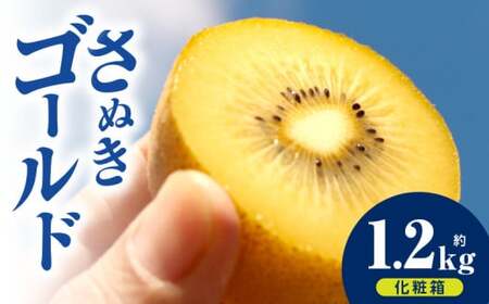 キウイフルーツ(さぬきゴールド)　化粧箱1.2kg | キウイ フルーツ 果物 旬 旬の果物 キウイフルーツ デザート 生鮮食品 贈り物 贈答 お裾分け おすすめ 人気 ギフト グルメ 特産品 果肉 季節 季節の果物 香川県 三木町 |_mk165-010