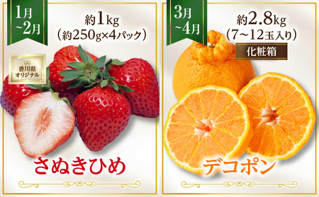 さぬき旬のフルーツ大満足 6回定期便|果物 果物定期便 定期便 フルーツ フルーツ定期便 シャインマスカット ゴールドキウイ いちご 旬 旬の果物 旬の果物定期便 キウイ 贈答 贈り物 デザート スイーツ 果肉 果汁 香川県 三木町 送料無料|_mk006-t011