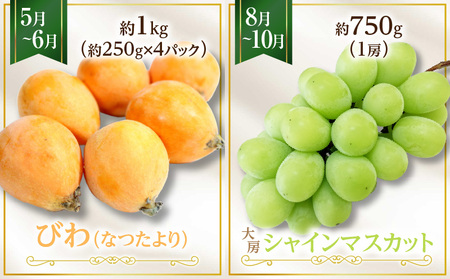 さぬき旬のフルーツ大満足 6回定期便|果物 果物定期便 定期便 フルーツ フルーツ定期便 シャインマスカット ゴールドキウイ いちご 旬 旬の果物 旬の果物定期便 キウイ 贈答 贈り物 デザート スイーツ 果肉 果汁 香川県 三木町 送料無料|_mk006-t011