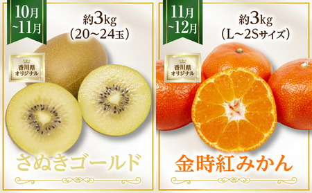 さぬき旬のフルーツ大満足 6回定期便|果物 果物定期便 定期便 フルーツ フルーツ定期便 シャインマスカット ゴールドキウイ いちご 旬 旬の果物 旬の果物定期便 キウイ 贈答 贈り物 デザート スイーツ 果肉 果汁 香川県 三木町 送料無料|_mk006-t011