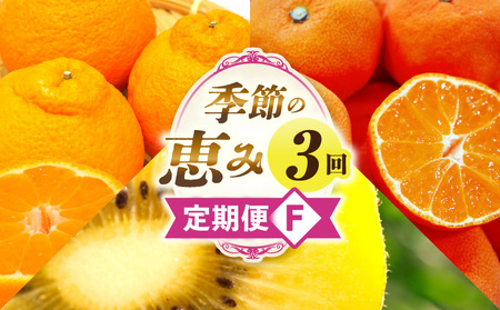 季節の恵み3回定期便F | 果物 フルーツ 青果 青果物 デザート スイーツ 果実 旬 季節 旬の果物 季節の果物 生鮮食品 生鮮 贈答 贈り物 ギフト プレゼント おすそ分け お祝い 内祝い ご褒美 人気 グルメ お取り寄せ 特産品 特産 国産 香川県 三木町 |_mk165-t021