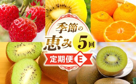 季節の恵み5回定期便E | 果物 フルーツ 青果 青果物 デザート スイーツ 果実 旬 季節 旬の果物 季節の果物 生鮮食品 生鮮 贈答 贈り物 ギフト プレゼント おすそ分け お祝い 内祝い ご褒美 人気 グルメ お取り寄せ 特産品 特産 国産 香川県 三木町 |_mk165-t049