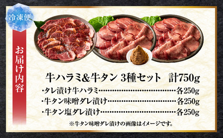 「牛ハラミ」&「牛タン」　焼肉3種セット　各250g(計750g) | 牛肉 焼肉 タレ 漬け 塩ダレ 味噌ダレ 秘伝 柔らかい 味付き やきにく ハラミ 希少 小分け 厚切り 冷凍 BBQ バーベキュー 香川県 三木町 国産 おすすめ 牛 ギフト 食品 お取り寄せ プレゼント 贈り物 贈答 |_mk146-140