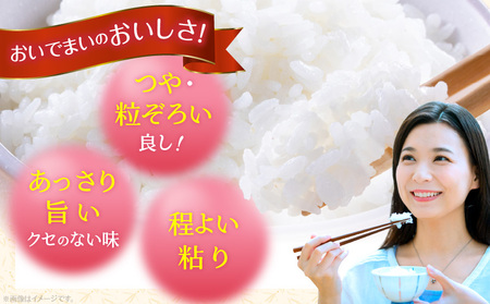 おいでまい 無菌パックご飯180g×24個セット | 米 お米 こめ 白米 白米食品 パックご飯 パックごはん 料理 簡単 国産 香川県産 おいでまい おにぎり 小分け 簡単調理 香川県 三木町 |_mk078-079