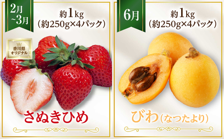 さぬき旬のフルーツお楽しみ 4回定期便 | 果物 フルーツ 青果 青果物 いちご びわ みかん シャインマスカット さぬきひめ 小原紅早生みかん マスカット なつたより 旬の果物 季節の果物 贈答 贈り物 ギフト 化粧箱 取り寄せ 香川県 三木町 送料無料 |_mk006-t015