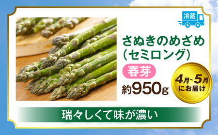 さぬきのめざめ定期便 | 野菜 定期便 アスパラ アスパラガス さぬきのめざめ 料理 柔らかい 濃い 春 夏 シャキシャキ 食感 冷蔵 新鮮 セミロング おすすめ 旬の野菜 季節の野菜 贈答 贈り物 ギフト 化粧箱 取り寄せ 香川県 三木町 送料無料|_mk006-t017