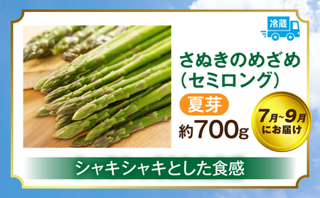 さぬきのめざめ定期便 | 野菜 定期便 アスパラ アスパラガス さぬきのめざめ 料理 柔らかい 濃い 春 夏 シャキシャキ 食感 冷蔵 新鮮 セミロング おすすめ 旬の野菜 季節の野菜 贈答 贈り物 ギフト 化粧箱 取り寄せ 香川県 三木町 送料無料|_mk006-t017