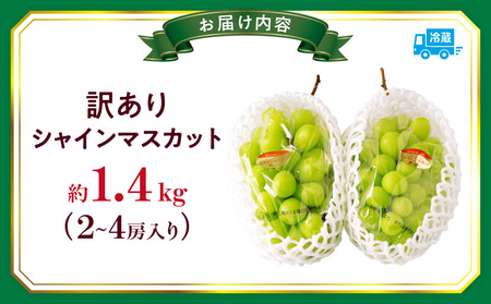 【2026年8月18日～10月20日配送】訳ありシャインマスカット 約1.4kg入り 2～4房| マスカット ぶどう 果物 フルーツ 人気 香川県 三木町 種なし 皮ごと食べられる ジューシー 糖度が高い 先行予約 季節限定 旬 おすすめ|_mk006-049-2