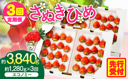 【2026年発送分 先行受付】苺音エコノミー　～さぬきひめいちご約1,280g～3回定期便 | おすすめ 人気 果実 果肉 果物 フルーツ デザート 贈り物 苺 さぬきひめ 贈答 ご褒美 ギフト 旬の果物 季節の果物 旬 季節 青果物 香川県 三木町 |_mk137-t001