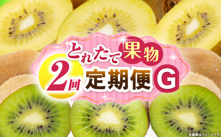とれたて果物 2回定期便G |果物 フルーツ 果物定期便 フルーツ定期便 定期便キウイ濃厚 旬の果物 定期 人気 おすすめ 贈答 贈り物 青果物 糖度 香川県 |_mk165-t057