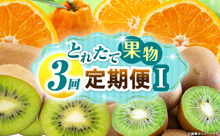 とれたて果物 3回定期便I |果物 フルーツ 果物定期便 フルーツ定期便 定期便キウイ デコポン濃厚 旬の果物 定期 人気 おすすめ 贈答 贈り物 青果物 糖度 香川県 |_mk165-t073