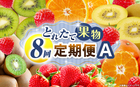 とれたて果物 8回定期便A |果物 フルーツ 果物定期便 フルーツ定期便 定期便 いちご キウイ デコポンみかん 濃厚 旬の果物 定期 人気 おすすめ 贈答 贈り物 青果物 糖度 香川県 |_mk165-t084