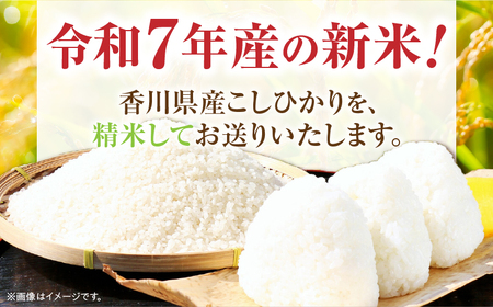 令和7年産】香川県産こしひかり 5kg（紙袋配送）|新米 コシヒカリ 