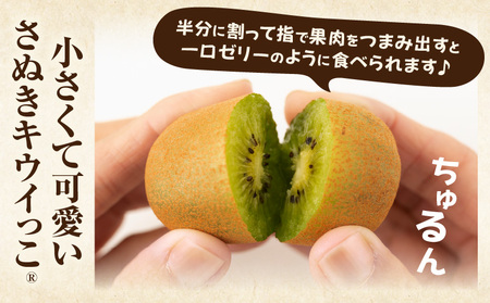 こつぶでちゅるん キウイフルーツ【キウイのたまご®】(キウイっこ) 約1.2kg |果物 フルーツ さぬき キウイっこ キウイフルーツ グリーン キウイ 小さい 濃厚 フレッシュ ジューシー 香り 爽やか 旬の果物 人気 おすすめ 贈答 贈り物 青果物 糖度 香川県 三木町 |_mk165-020