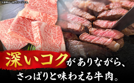 【三木町産】オリーブ牛ロースステーキ500g×2枚（4ピース）｜国産 国産牛 牛肉 オリーブ牛 選べる内容量 牛 1kg ブランド牛 牛ロース ステーキ お肉 小分け 冷凍 贈答 贈り物 香川県 三木町｜_mk017-003-02