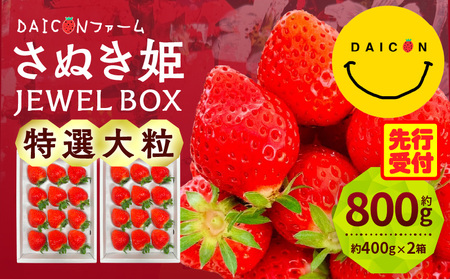 【先行予約】DAICONファーム さぬきひめJEWEL BOX（さぬきひめ苺（特選大粒）2箱 約800g） | いちご 苺 果物 果実 果汁 青果物 高級 大粒いちご 特選大粒 ご褒美 贈答 贈り物 人気 おすすめ 化粧箱 スイーツ デザート 旬 旬の果物 | _mk170-001