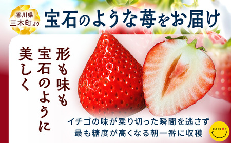 【先行予約】DAICONファーム さぬきひめJEWEL BOX（さぬきひめ苺（特選大粒）2箱 約800g） | いちご 苺 果物 果実 果汁 青果物 高級 大粒いちご 特選大粒 ご褒美 贈答 贈り物 人気 おすすめ 化粧箱 スイーツ デザート 旬 旬の果物 | _mk170-001