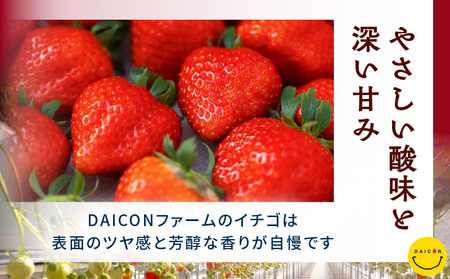 【先行予約】DAICONファーム さぬきひめJEWEL BOX（さぬきひめ苺（特選大粒）2箱 約800g） | いちご 苺 果物 果実 果汁 青果物 高級 大粒いちご 特選大粒 ご褒美 贈答 贈り物 人気 おすすめ 化粧箱 スイーツ デザート 旬 旬の果物 | _mk170-001