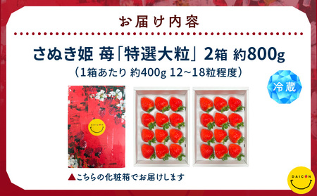 【先行予約】DAICONファーム さぬきひめJEWEL BOX（さぬきひめ苺（特選大粒）2箱 約800g） | いちご 苺 果物 果実 果汁 青果物 高級 大粒いちご 特選大粒 ご褒美 贈答 贈り物 人気 おすすめ 化粧箱 スイーツ デザート 旬 旬の果物 | _mk170-001