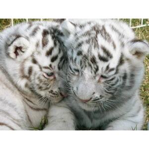 「瀬戸・たかまつネットワーク」香川県 (さぬき市・三木町・東かがわ市方面) 2日間【1280372】