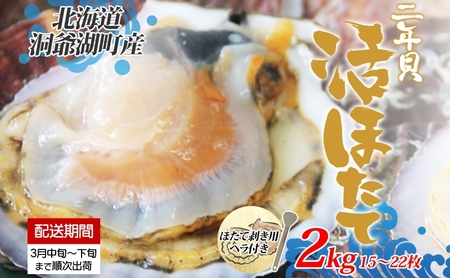 【ふるなび限定】約2kg！活ほたて2年貝(15枚～22枚)≪配送：2025年3月より順次出荷≫海産物 ホタテ 帆立 ほたて 旨味 料理  刺身