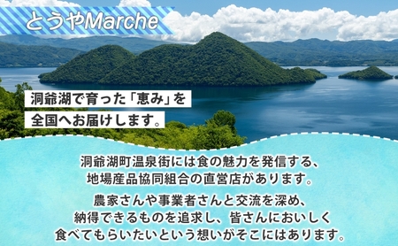 【 ふるなび限定 】 北海道産 活ほたて 2年貝 約 2kg 15枚～22枚 2025年3月中旬～3月下旬頃お届け 殻付き 貝付き 帆立 ホタテ ほたて 貝 魚介 海産 海鮮 噴火湾 刺身 焼き フライ FN-Limited