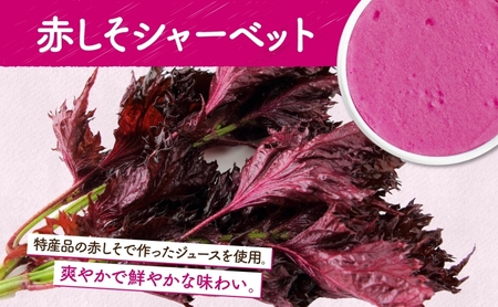 北海道 まきばのジェラート しそシャーベット 130ml×6個 ジェラート 赤しそ シソ シャーベット スイーツ デザート 氷菓 人気 お取り寄せ グルメ ギフト 保存料不使用 地産地消 牧場 自家製 レークヒルファーム 送料無料 洞爺湖 