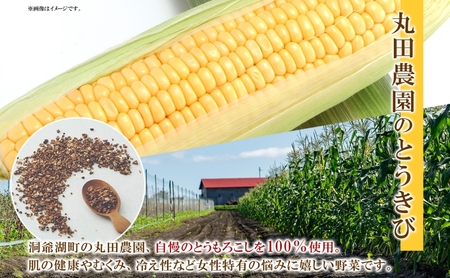 とうきび茶 ティーバッグ 2.2g入り 20包 洞爺湖町産 とうもろこし 丸田農園 とうきび トウモロコシ ノンカフェイン 野菜茶 コーン茶 水出し ノンカロリー 健康茶 お取り寄せ ふうか 送料無料 北海道 洞爺湖町