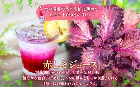 定期便 連続2回 北海道産 赤しそジュース アロニアジュース 500ml 各1本 希釈用 赤しそ アロニア 果汁 ジュース ドリンク 飲料 飲み物 フルーツ しそ シソ 紫蘇 贈答 詰め合わせ お取り寄せ 送料無料 ピュアフーズとうや 北海道 洞爺湖町