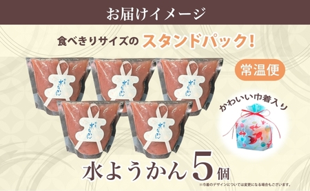 水ようかん 5個 巾着入り 7月初旬よりお届け ようかん 和菓子 菓子 羊羹 北海道産 小豆 スイーツ 夏 おやつ お中元 お供え 贈答 お取り寄せ 送料無料 常温 一心堂 先行予約 北海道 洞爺湖町