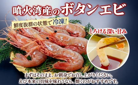 北海道 噴火湾産 冷凍ボタンエビ 大サイズ 400g 10～14尾 ボタンエビ エビ えび 海老 北海道産 旬 ぼたんえび 刺身 牡丹海老 海鮮 魚介 甲殻類 味噌汁 鍋 海鮮丼 冷凍 洞爺湖町 within2025