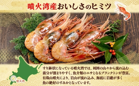 北海道 噴火湾産 冷凍ボタンエビ 大サイズ 400g 10～14尾 ボタンエビ エビ えび 海老 北海道産 旬 ぼたんえび 刺身 牡丹海老 海鮮 魚介 甲殻類 味噌汁 鍋 海鮮丼 冷凍 洞爺湖町 within2025